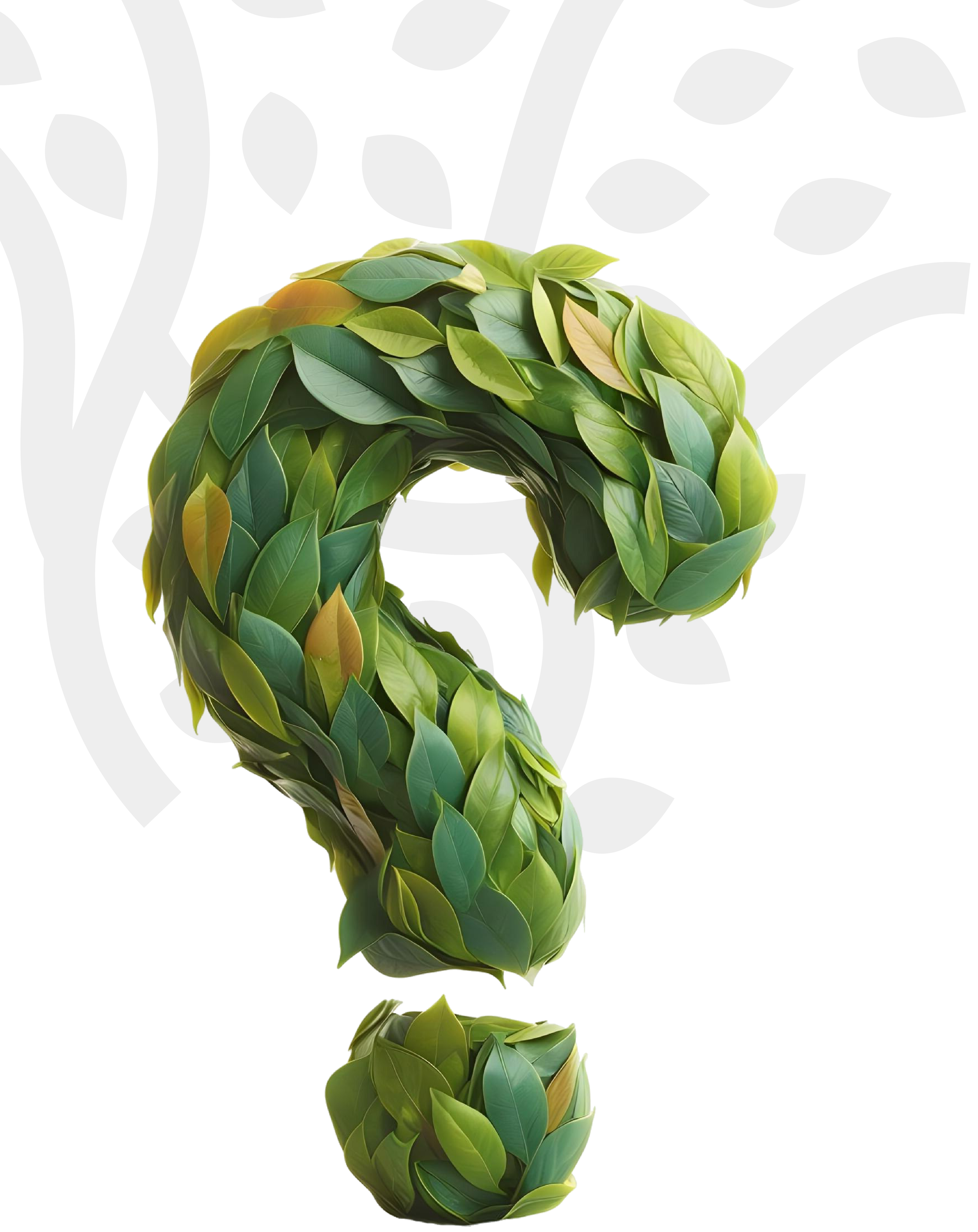 الأسئلة الشائعة